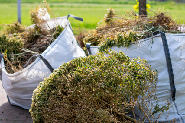 Best Recycling Services for Junk  in Mogadore, OH